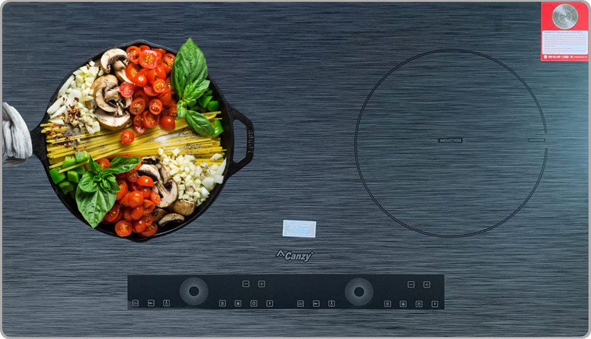 Bếp điện từ Canzy CZ 288